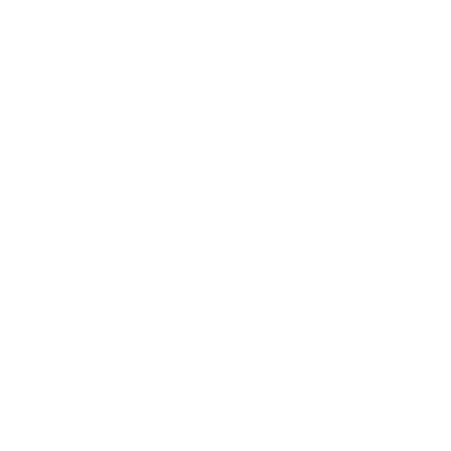 JPMorgan Chase & Co.
